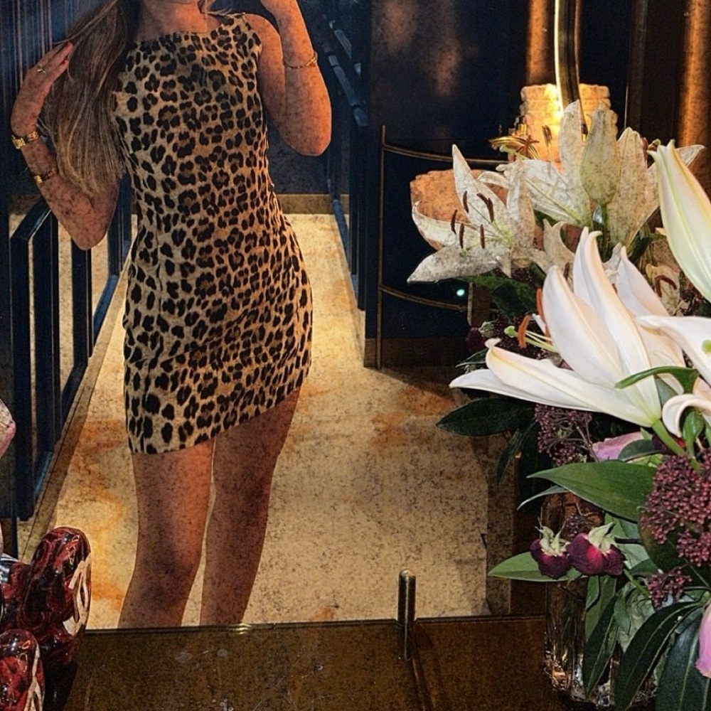Zara Animal Print Mini Dress